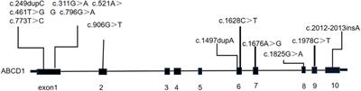 Exploratory study of autophagy inducer sirolimus for childhood cerebral adrenoleukodystrophy